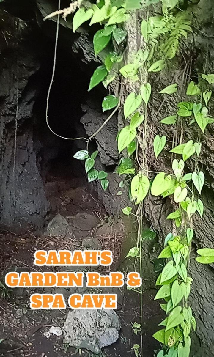 Sarah'S Garden Bnb & Spa Bed & Breakfast Clarin  Bagian luar foto