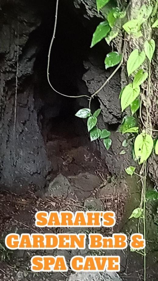 Sarah'S Garden Bnb & Spa Bed & Breakfast Clarin  Bagian luar foto